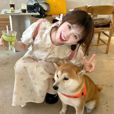 荡妇野玫瑰